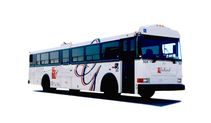 Autobus adapté - 16 passagers + 14 fauteuils roulants - Miniature